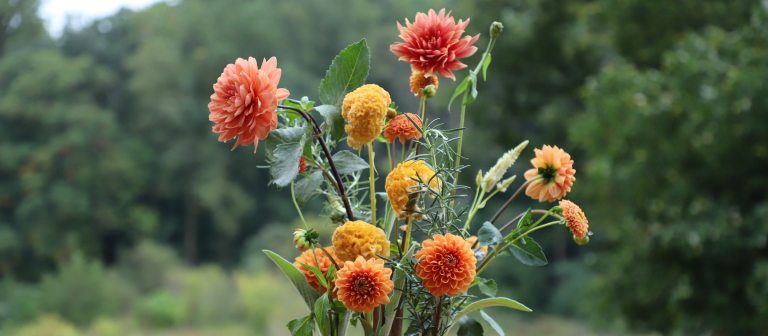 an arrangement of yellow and orange flowers and multi-textured leaves against a background of trees