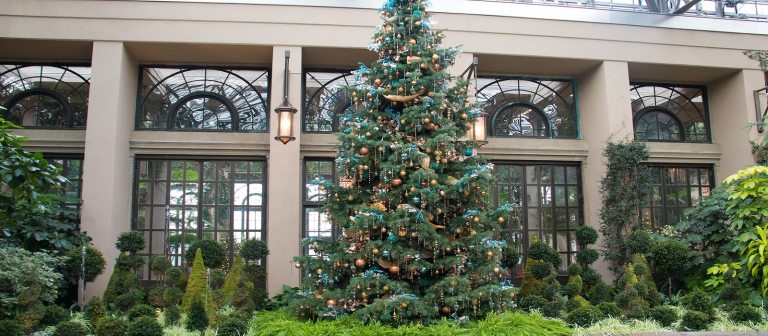 a christmas tree decorated with white light and blue ornaments
