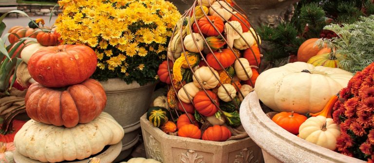 pumpkins of different colors and sizes stacked in planters with a yellow potted mum behind them