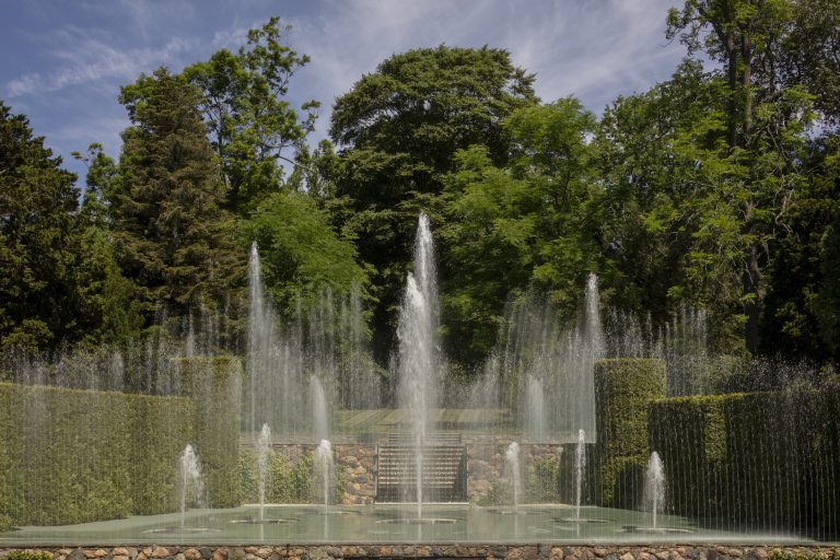 symmetrical fountain jets in front of a green backdrop of trees