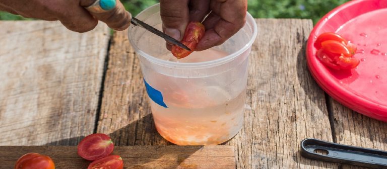 a person's hand with a knife cutting a small tomato