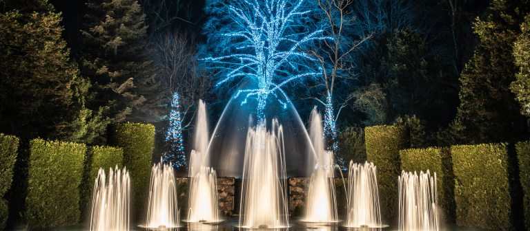 fountain jets of illuminated white water against a background of trees lit with blue lights