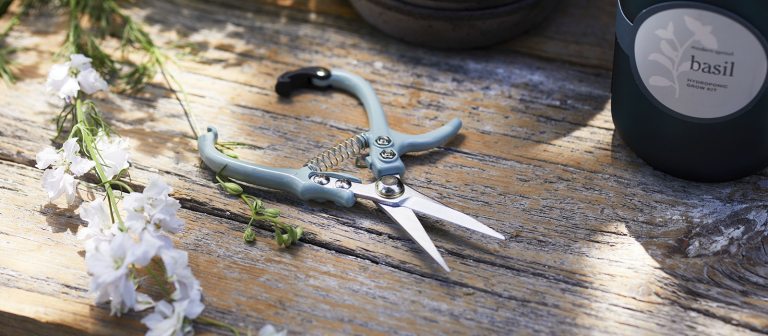 pruning shears on a wood table