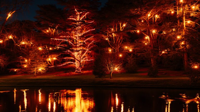 reddish yellow lights and lanterns on outdoor trees reflect in a lake