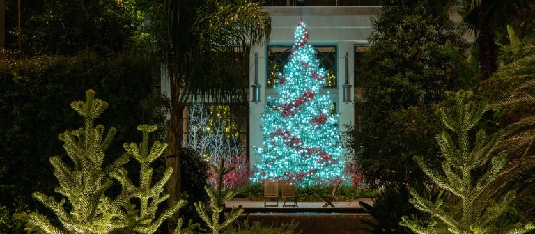 A large cut Christmas tree glows in aqua colored lights inside of a lush greenhouse