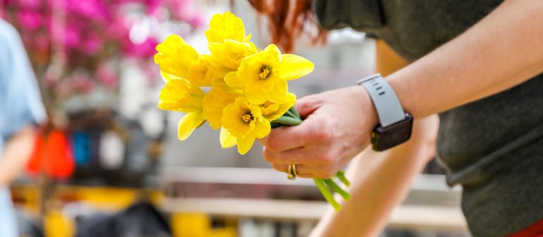 a person holds a bundle of yellow daffodils