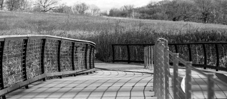 Black and white photo of shadows cast on a boardwalk that cuts through a large, grassy meadow