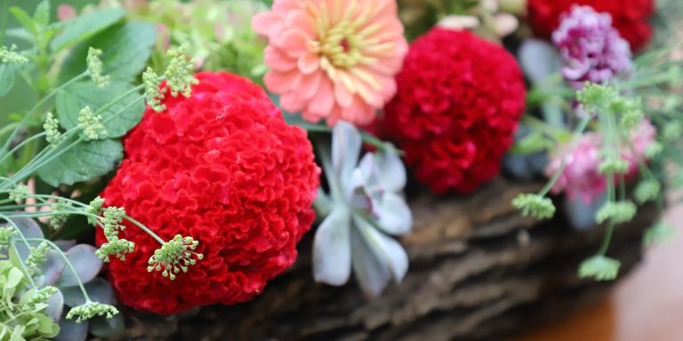 cut flower arrangement including celosia and succulents