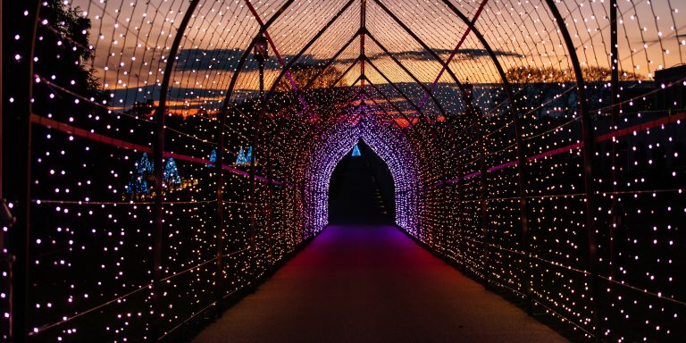 an arched tunnel of Christmas lights recedes toward a sunset sky