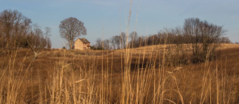 a farmhouse sits at center left of a meadow landscape against a backdrop of bare trees, viewed through long golden grasses