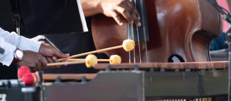 closeup of hands playing percussion, and another hand playing strings on a bass