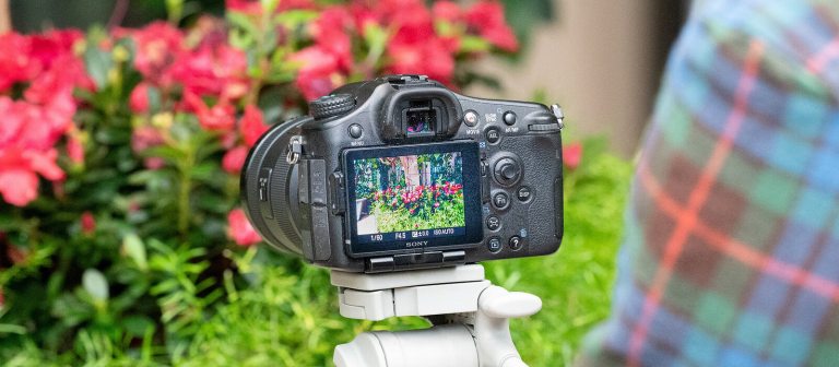 a black camera on a tripod aimed at red flowers