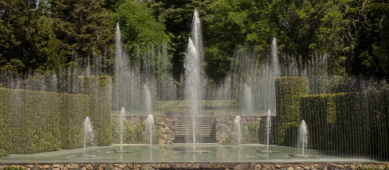 fountain jets rise up on a stage with green arborvitae hedges on each side and green trees in the background
