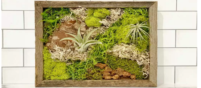 Moss Wall Art Workshops – Outside In