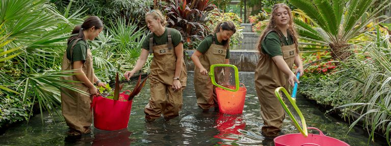 Four professional horticulture students stand in water in their overalls to work in Longwood's Conservatory