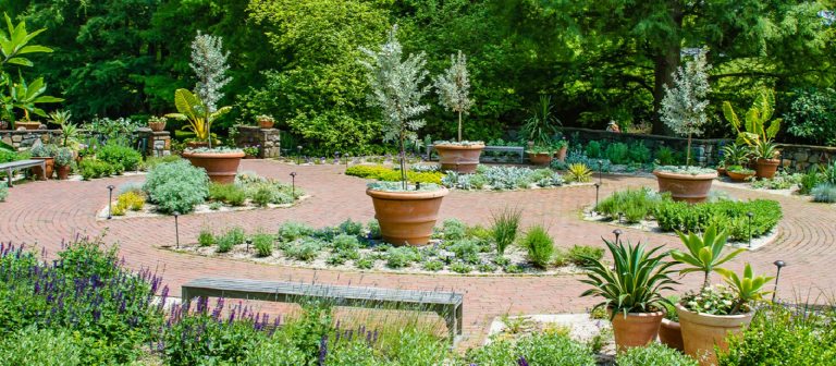 a garden wth red brick paths in summer