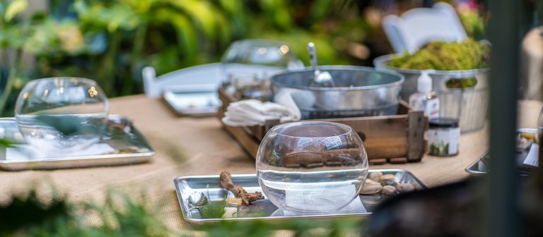 a table of supplies to make small terrariums