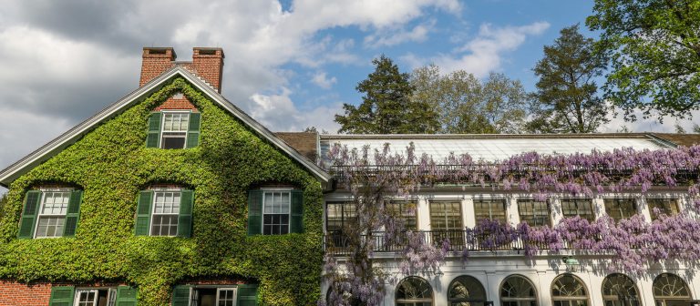 Wisteria and green vines adorn a house under a blue sky