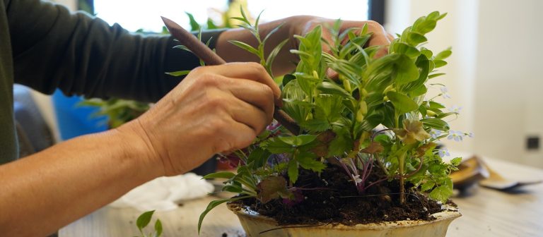 a persons hand assembling a floral arrangement