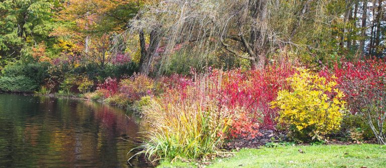 A small lake with fall color trees alongside it.