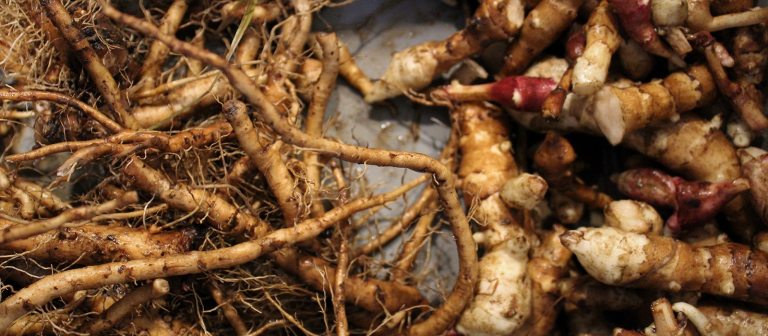 A close up image of plant roots on a dark wood table.