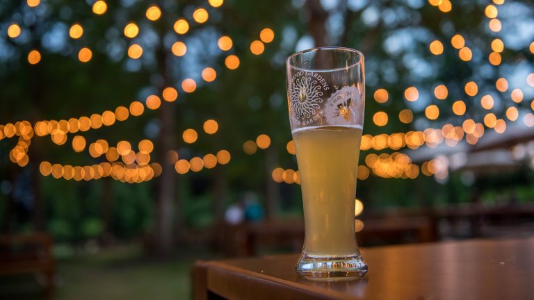 Closeup of a glass, displaying the Longwood Gardens and Victory Beer logos, of golden beer at table's edge, with strings of blurred golden party lights in the background.