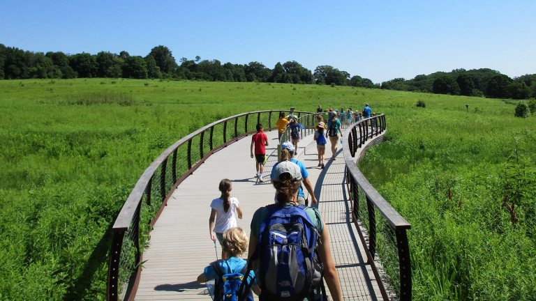 Adults and children walk away from the camera along a curved bridge through a meadow, toward the treeline in the distance.