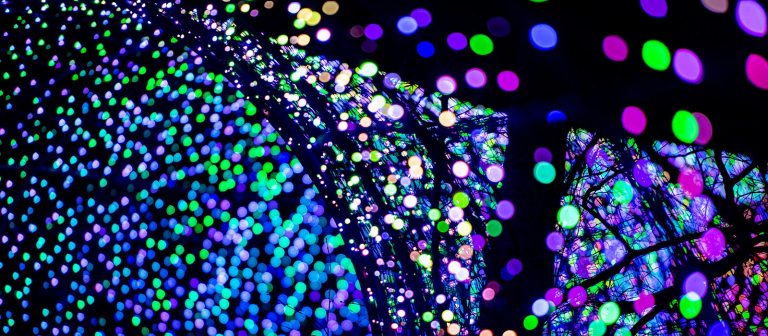 Close up of multi-color Christmas lights.
