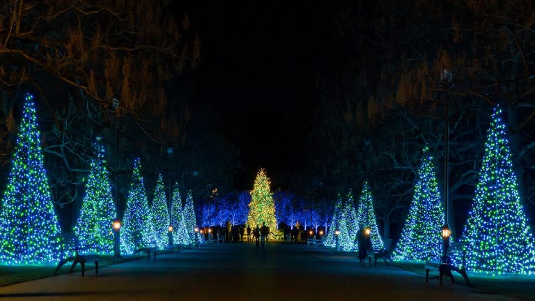 A nighttime landscape with faux trees lit in blue christmas lights alongside a paved path.