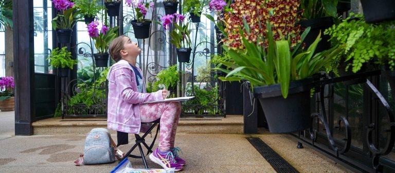 A young person sits with a sketchpad on their lap, a set of oil pastels on the floor beside them, looking up at a wall filled with orchids.