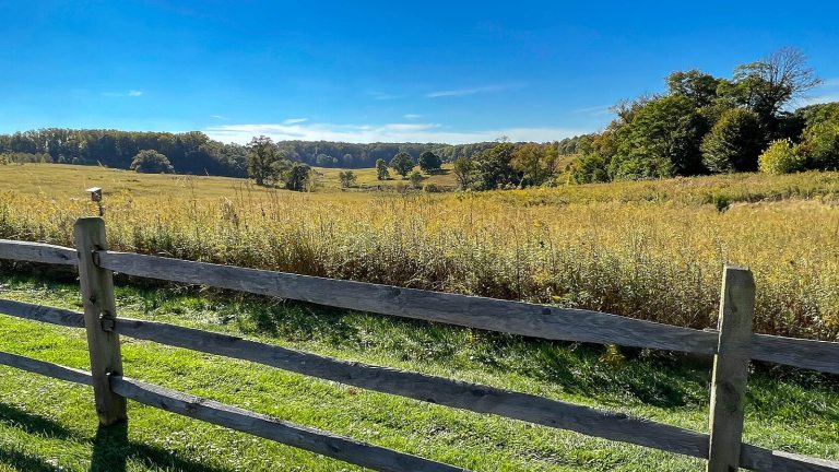 A wood fence in front of a meadow during a sunny day with bright blue skies.