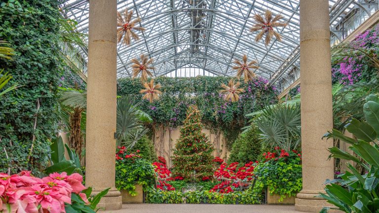 The Longwood Conservatory during it's Christmas display.