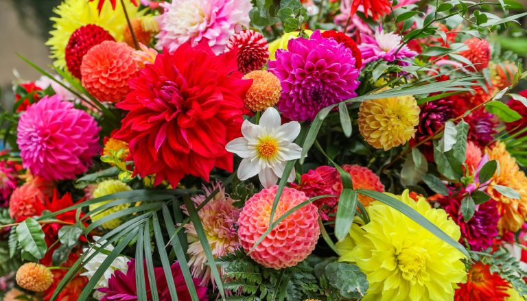 A bouquet of flowers in a variety of types in pinks, red, and yellows.