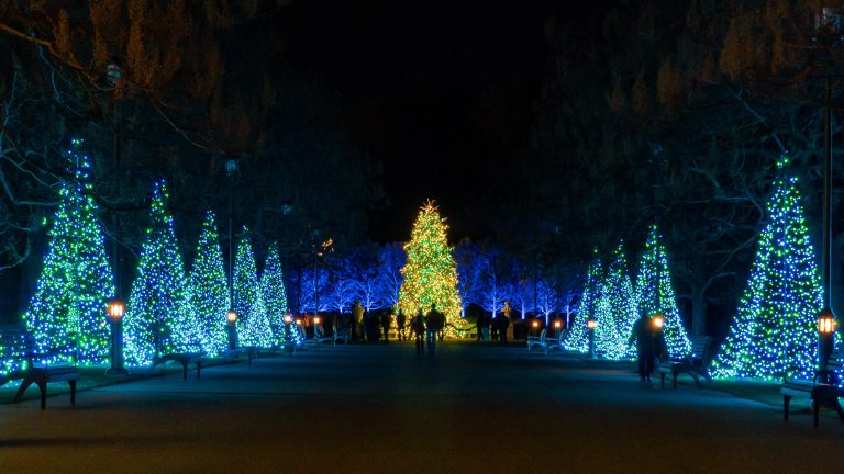 A nighttime landscape with faux trees lit in blue christmas lights alongside a paved path.