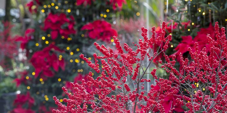 Longwood Gardens