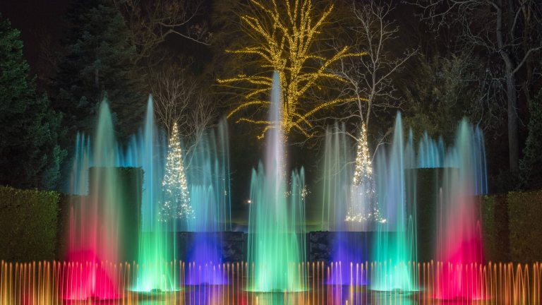 Colored fountains in bright reds, light greens, light blues, and deep purples rise from a stage, with a large tree in the background decorated in yellow-gold lights.