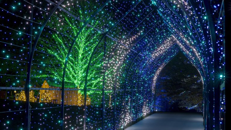 View into a tunnel lit with blue and white Christmas lights, with trees to the left outlined in green lights.