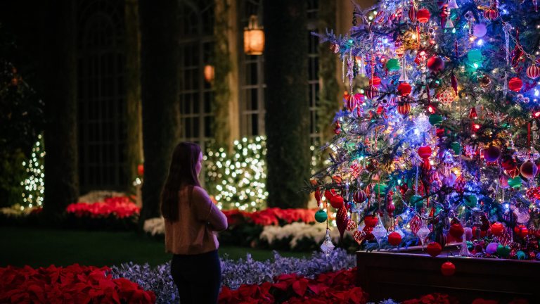A person stands in quiet solitary awe of a beautifully lit and decorated Christmas tree in a conservatory at night.