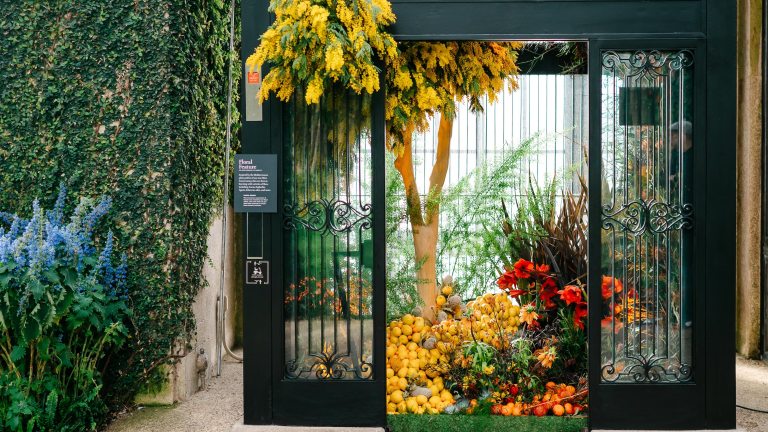 View of the interior of an elevator, its opened ornate metal doors showcasing a display of brightly colored tropical fruit and flowers.