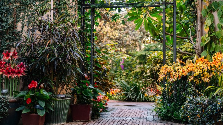 An indoor brick garden path, bordered by red and orange lilies and other flowers and foliage, enters a lush garden viewed through a black metal trellis. 