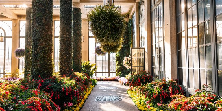 Morning light shines through tall Conservatory windows, lending a soft glow to a walkway bordered by colorful plantings, punctuated by vine-covered columns, and hung with large flowering baskets.