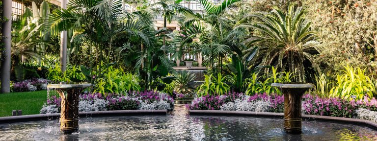 Two indoor fountains spill over into a conservatory pool outlined by purple, white, and dark green flowers and foliage, amid lush towering tropical plants, with a view of a waterfall, terrace, and windows in the background.