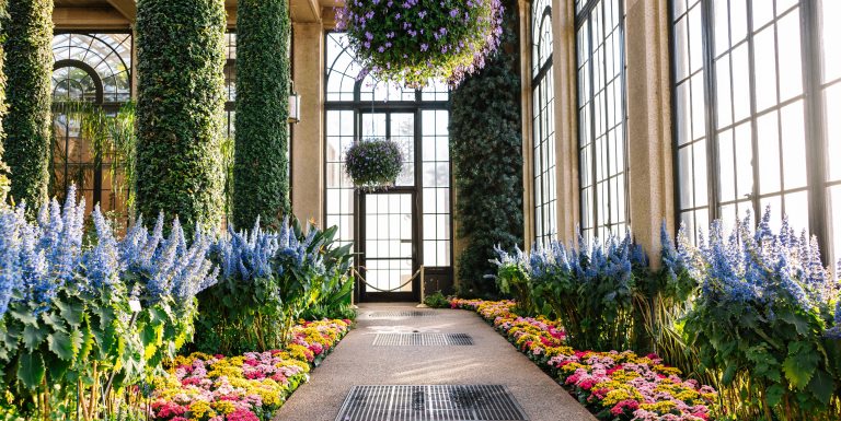 An indoor conservatory walkway is lined by beds of tall spikes of blue flowers and low blooms of pink and yellow, amid tall vine-covered columns, hanging baskets of purple flowers, and a tall arched window at the far end of the walkway. 