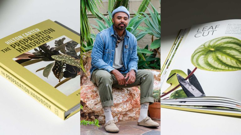 man sitting in a rock in a garden collaged with two images of books