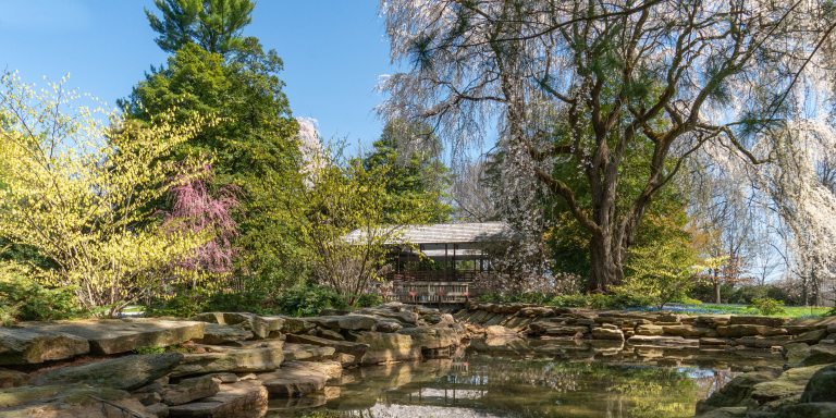 A gazebo-like structure sits across a boulder-lined stream, like a bridge, in the midst of spring-flowering trees.