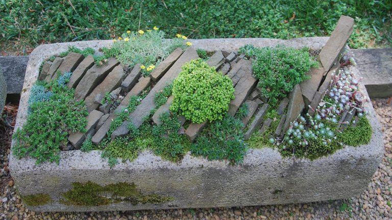 A stone block filled with small plantings.