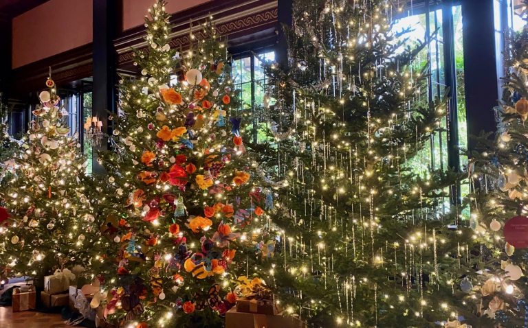 Three decorated Christmas trees in a row at Longwood Gardens.