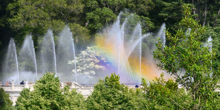 A rainbow shines its light amid jets of water in a fountain garden, surrounded by green trees and one white flowering tree in the background.