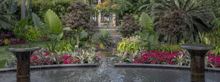 Two pedestal fountains spill water into an oval basin bordered by fuchsia-colored flowers and a variety of foliage, which in turn spills into a stream in a conservatory, bordered by tropical plants, with a waterfall, hanging baskets, and large windows in the background.
