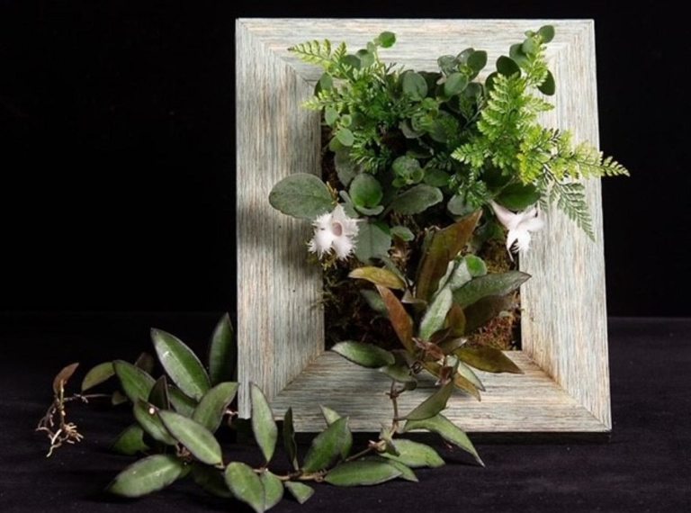 A gray wood picture frame filled with live plant material. 
